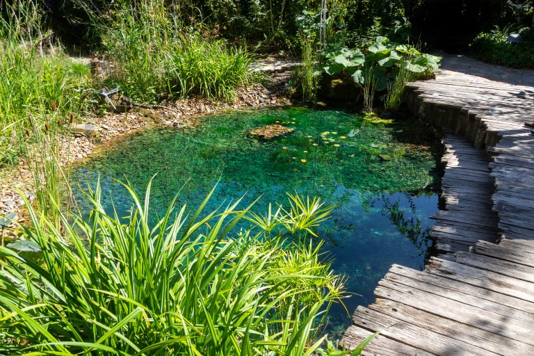 Terra-Vert - Bassin jardin 2 - Vichy