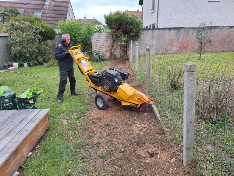 Terra-Vert - Déssouchage d'une haie 1