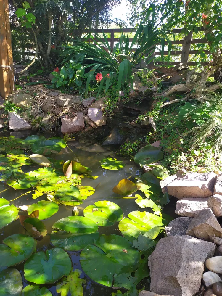 Terra-Vert - Bassin de jardin